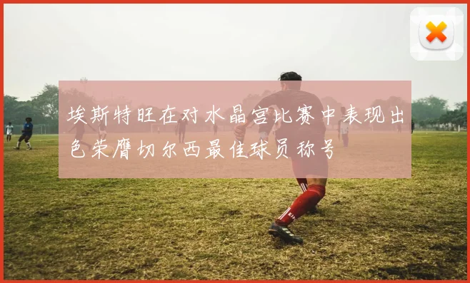 埃斯特旺在对水晶宫比赛中表现出色荣膺切尔西最佳球员称号