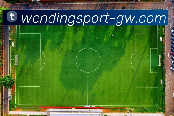 问鼎娱乐平台生态图